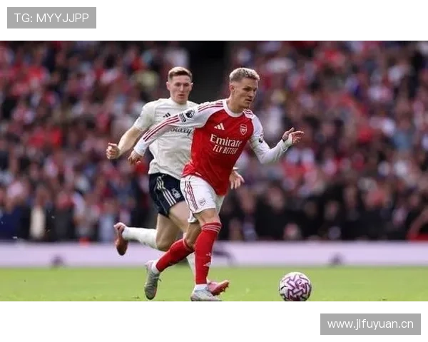 厄德高:从新星到领袖的进化解析 厄德高:从新星到领袖的进化解析