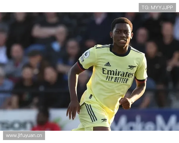 纽卡赛季后期状态波动,表现受限对竞争格局带来变化